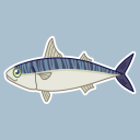 chubmackerel avatar