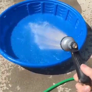 sizvideos:  Corgi Pool Party Video 