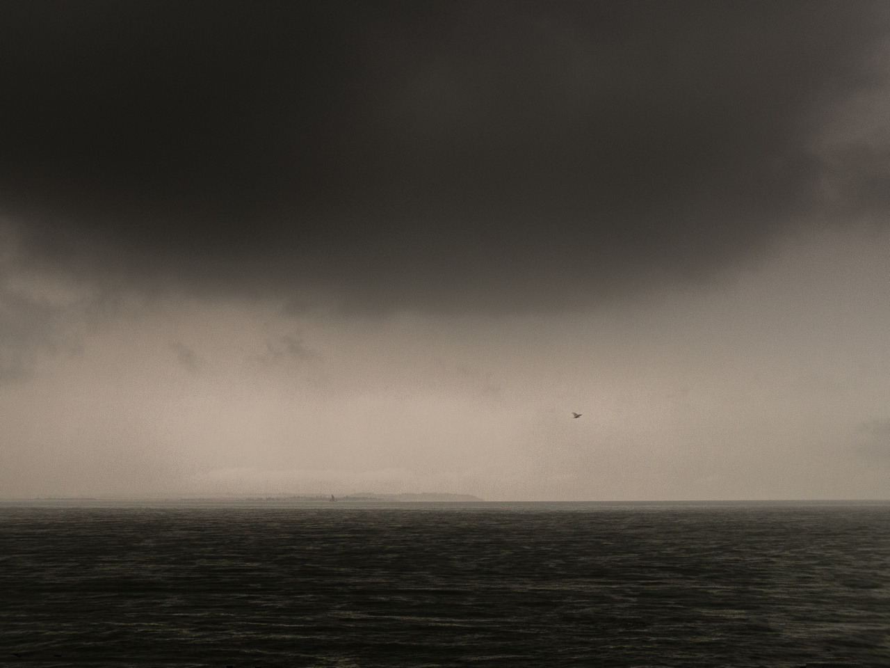 cerceos:  Chris Friel - Sky9