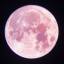 batfromthemoon