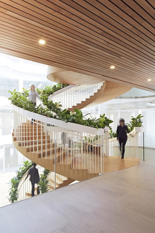 culturenlifestyle:  The Living Staircase by Paul Cocksedge Studio Paul Cocksedge Studio has constructed a vertical and horizontal staircase with the purpose of having an open room for relaxation and socialization. Constructed as a 12 meter high spiral