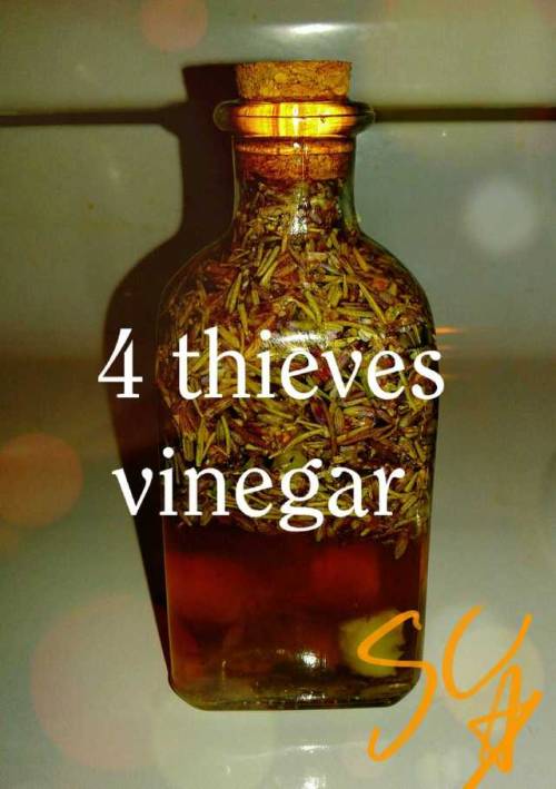 spectrecuivre: 4 Thieves VinegarAn old concoction used since the middle ages. Legend says that at th