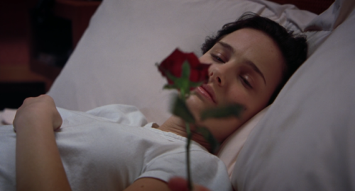 radfilmstills: Closer (2004) dir. Mike Nichols “I don’t love you anymore. Goodbye.”