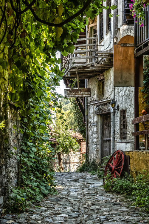 visitheworld:Litochoro / Greece (byalastair graham).❀ tropical blog - stress free zone ❀