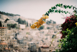 turbinis:Jerusalem.. by somehowlou on Flickr.
