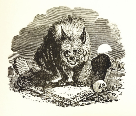 detroitlib: #Caturday! From our stacks: Illustrations from A Collection of One Hundred