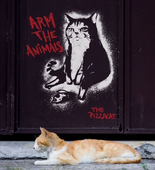 This is a revolution! Be nice to cats or else! Pizzacat x @armtheanimalsThis tee is only available