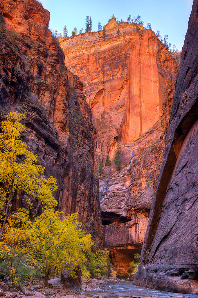 wowtastic-nature:  detour ahead by  Paul Pryor on Flickr(Original size - Height: