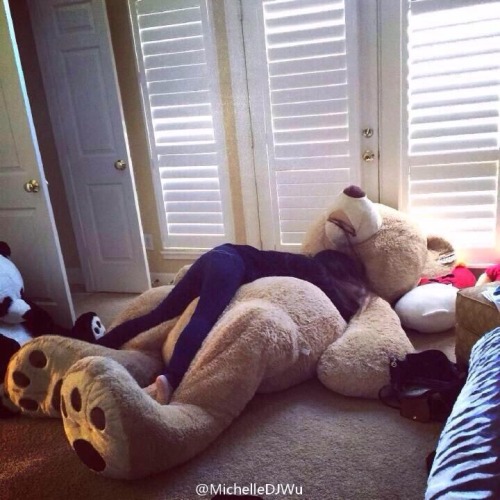 oso de peluche gigante tumblr