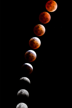 plasmatics-life:  Total Lunar Eclipse ~ By Matthew Crowley (April 15, 2014) 