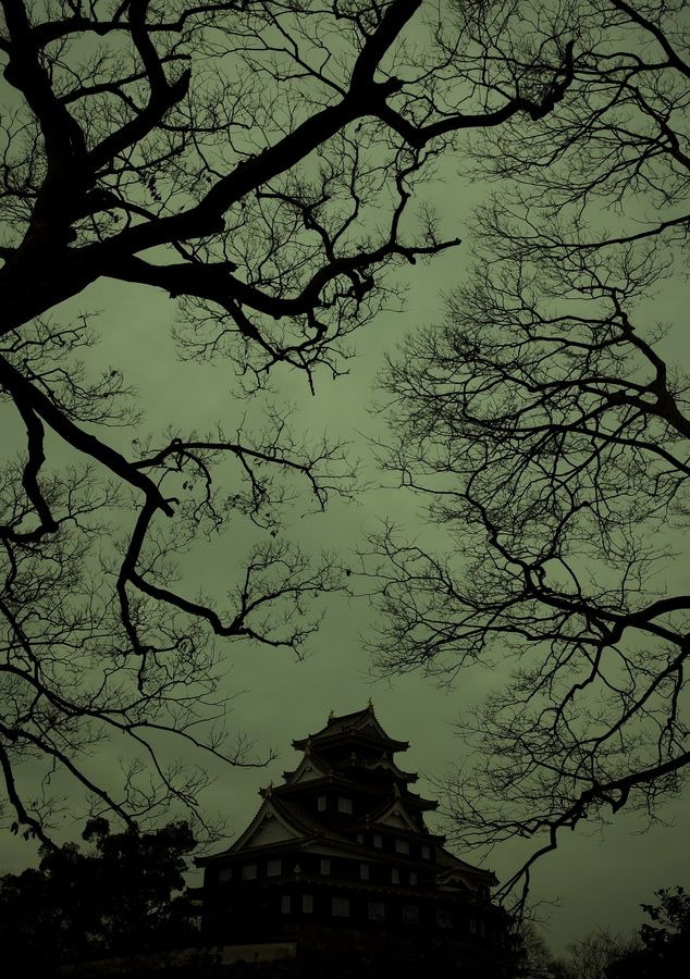 thekimonogallery:
“ Okayama Castle, Japan.
by Tashi Delek ”