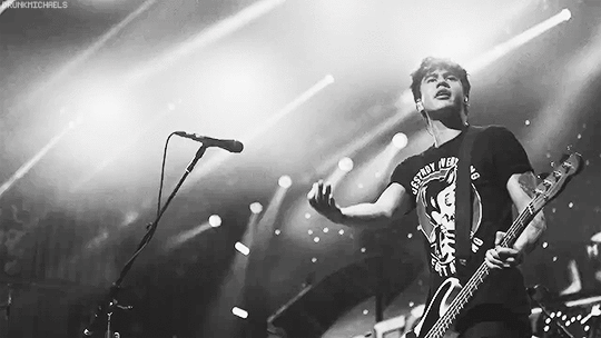 This little shit is turning 20 tomorrow. You stupid yet cute kiwi.