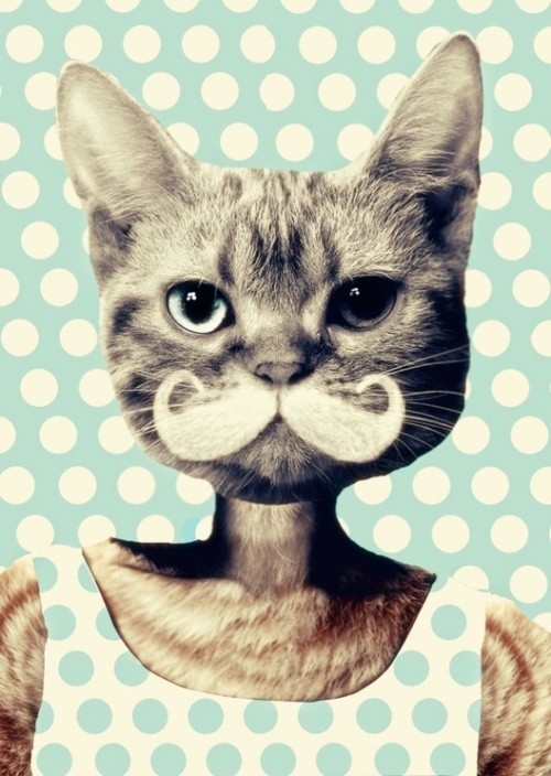 crazycatladyclothing:  Meowstache anyone??? SHOP HERE: www.crazycatladyclothing.com