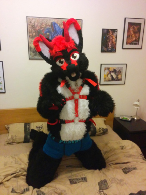 Here&rsquo;s some adorable pics of my new bud, Taikucz.Isn’t his suit adorable? X3~Follow For More~