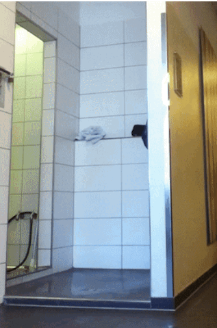 notdbd:  notdbd:  Video. Not my gym, not similar to my gym. I’ve never seen this