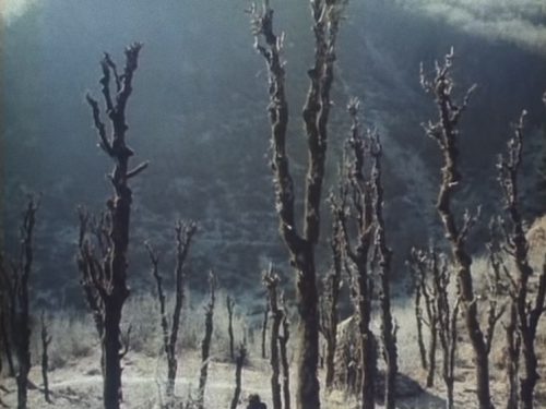 wike-wabbits:  Defying Everybody (Yuri Ilyenko, 1973) 