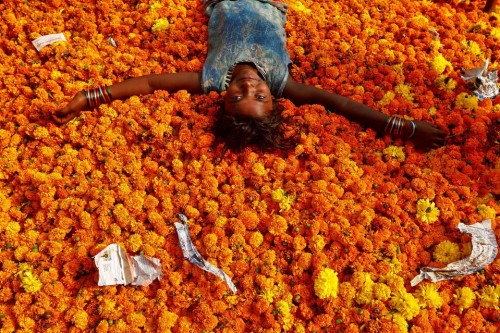 fotojournalismus: A girl rests on a pile of discarded flowers outside a market, a day after Diwali c