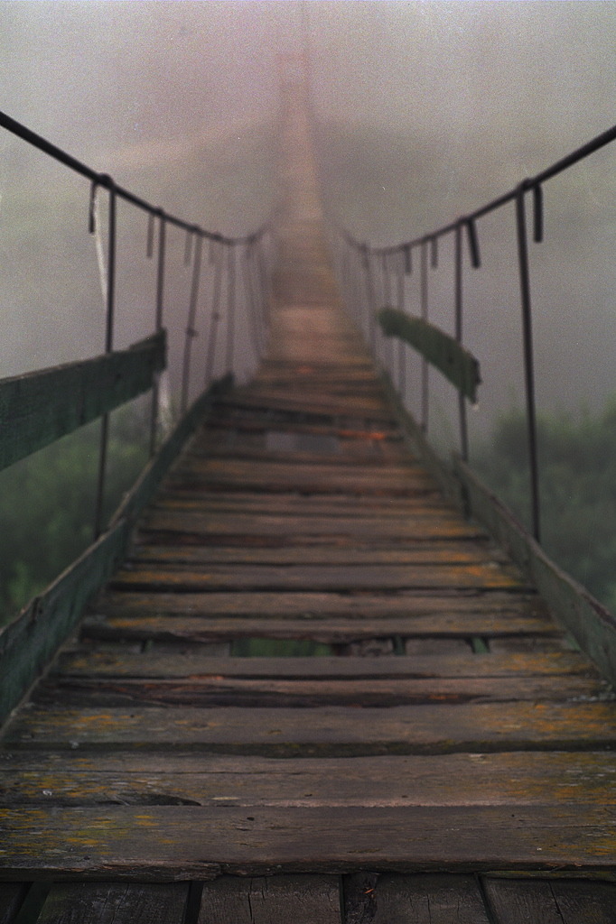r2&ndash;d2:  Road to the Forest 2 