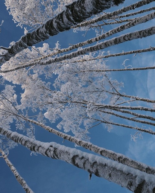 crossconnectmag:  Photography by Sandra Linnell Sandra Linnell is a 36 years old self-taught photographer, based in Stockholm, Sweden. She shoots a lot of nature and lifestyle photography using an Olympus OMD EM-10 and is an ambassador of the brand. 