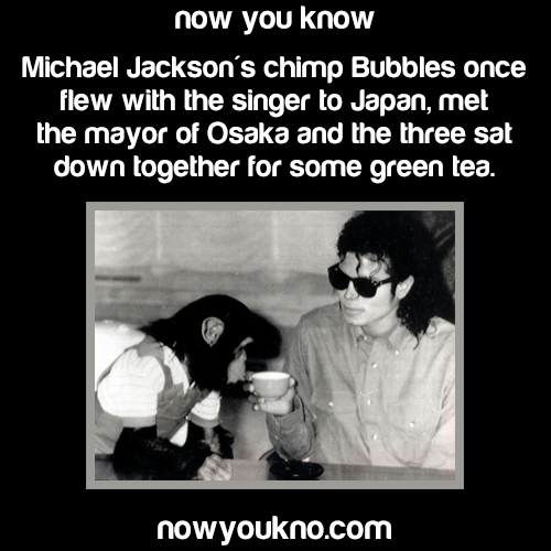 XXX nowyoukno:  Michael Jackson facts to commemorate photo