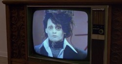 nextstopwindrixville:  “How about it, Edward? Is there some special lady in your life?”  Edward Scissorhands (1990)