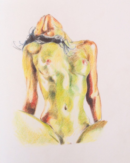 ismaelguerrier:Color study drawing from my first year of college.(Color pencil on paper)