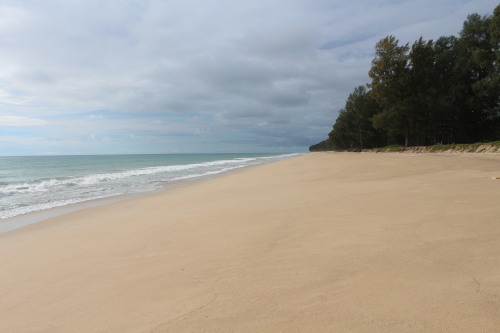 Thai mueang beach.