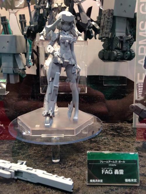 I like Armor Girl Project. Frame Arm Girl…it really looks like they didn’t think this name through enough…. Unfortunate combination of words leading to that acronym.