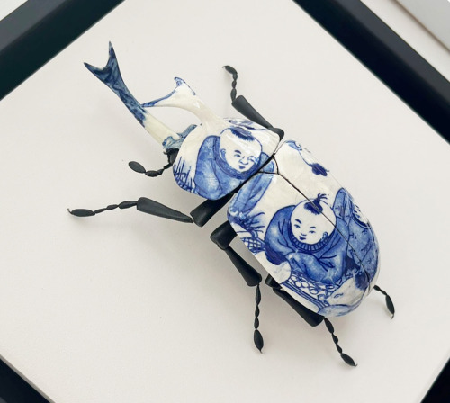 XXX entomologize:ALTALTALTCeramic beetles by photo