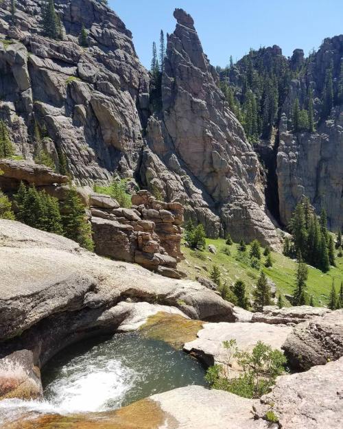 Deep in the Bighorn Mountains, Wyoming