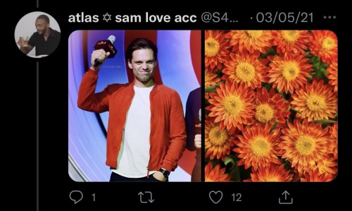 Sebastian Stan As Flowers: An Absolutely Adorable Thread By @S4MWILSON On Twitter