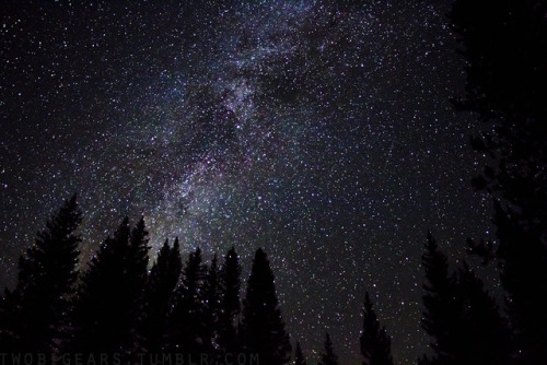 twobigears:  Onward to 2018. Here’s to more time on the trails, days in the mountains, and nights under the stars.
