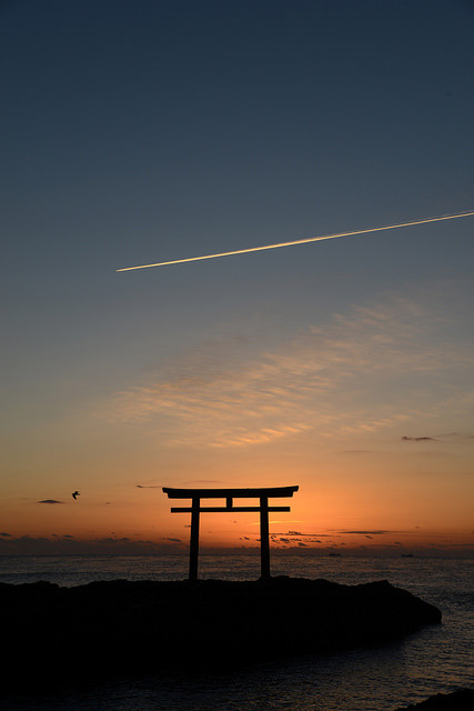 ileftmyheartintokyo:  大洗磯前神社鳥居と飛行機 by edo787ak on Flickr.