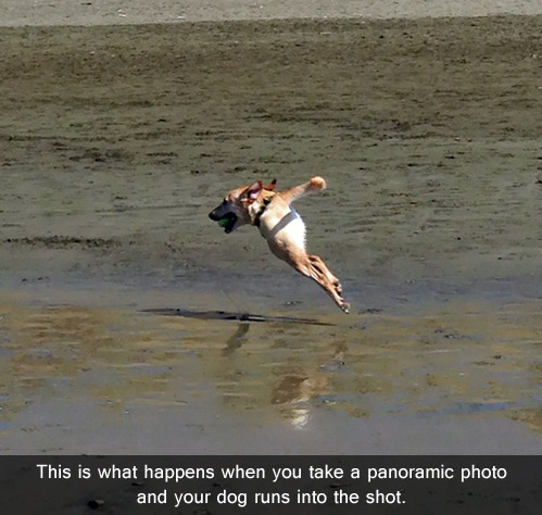 death-by-lulz:  My lovely followers, please follow this blog immediately!