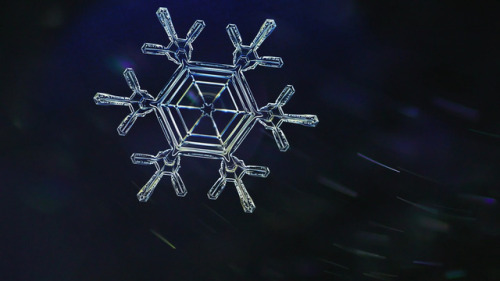 Identical Snowflakes? Scientist Ruins Winter For EveryoneWe&rsquo;ve all heard that each and every s