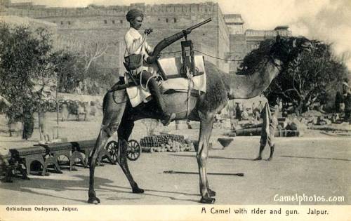 The Zamburak,First appearing the 17th century, the zamburak was a small camel mounted cannon popular