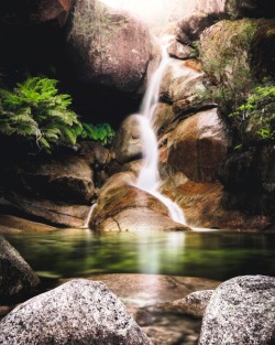 earthlygallery:  Ladies Bath Falls by Denham Thompson 