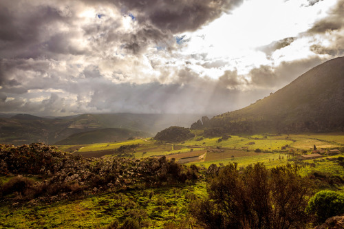 smithsonianmag: Photo of the day: Rolling hills of Sicily Photo by Anatole Klapouch (Trapani, Italy 