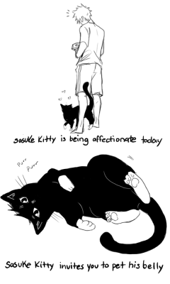 carrotcakebanditdoodles:  how to own a sasuke kitty 