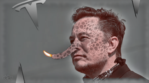  Elon Musk … 