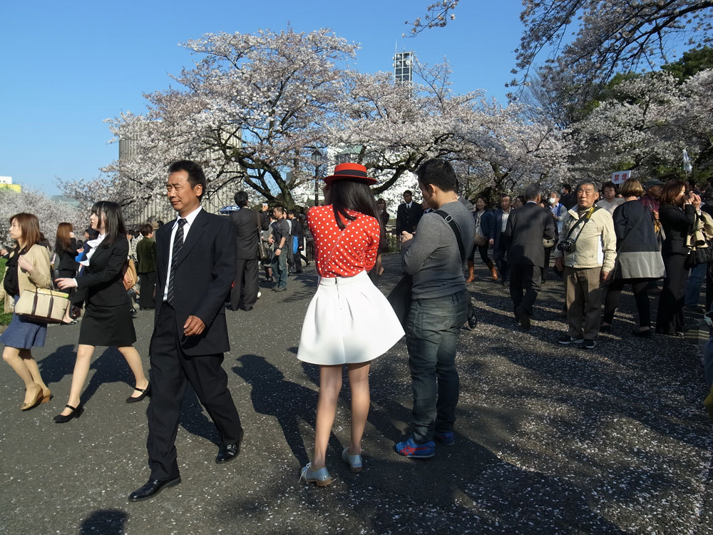 Kitanomaru Park, Tokyo
April 4 2014
John Sypal