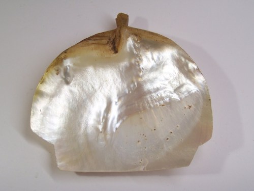 19th Century Mother Of Pearl Hand-carved With The Crucifixion