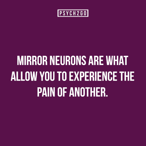 psych2go:  If you like interesting factoids like these, follow us @psych2go . We