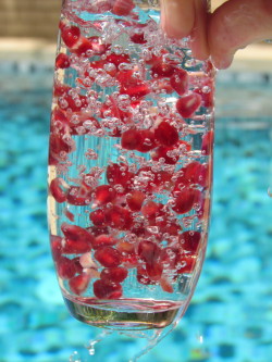 youthest:  fl-orish:  telagraph:  idk i just love this photo omg! i cant believe i took it lol . its pomegranite seeds  so epic  MY PHOTO WOOO:) ^THATS MY PHOTOGRAPHY BLOG