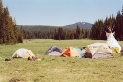 traviselliottstudios:  Rainbow gathering, WA 2011 