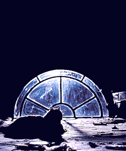 ikaeri-deactivated20150909:  The Crow (1994) 