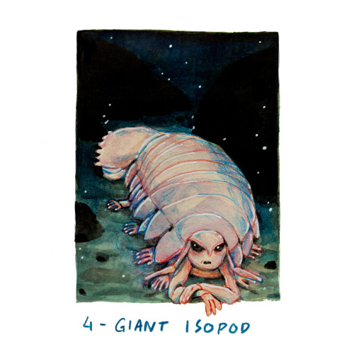 The Giant Isopod has gotten a bit of limelight the last few years. One can find lots of cute isopod 