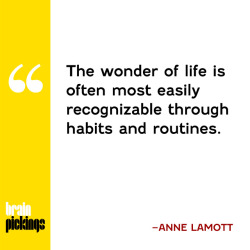 explore-blog:Anne Lamott on routine and ritual, plus some thoughts from yours truly on the difference between the two and why both are essential for a full life. —For more ideas on expanding your learning horizons, check out Noodle. 