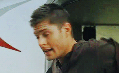 stmarsh:  savingpeopledoingmoosestuff:  do you ever look at your rp partner’s reply and just  And then when you reply 