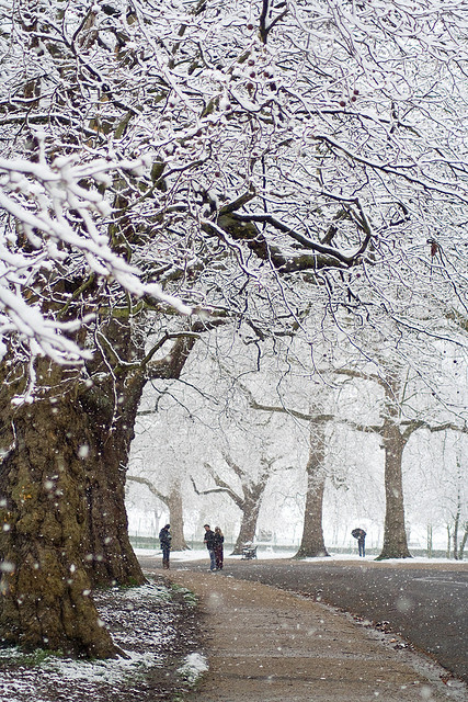 fabulousplaces:  Snowy Finsbury Park (London, England) by Alex.MacDonald on Flickr.